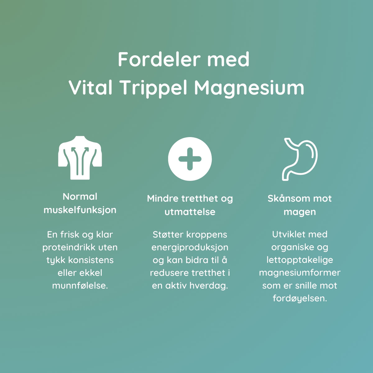Vital Trippel Magnesium
