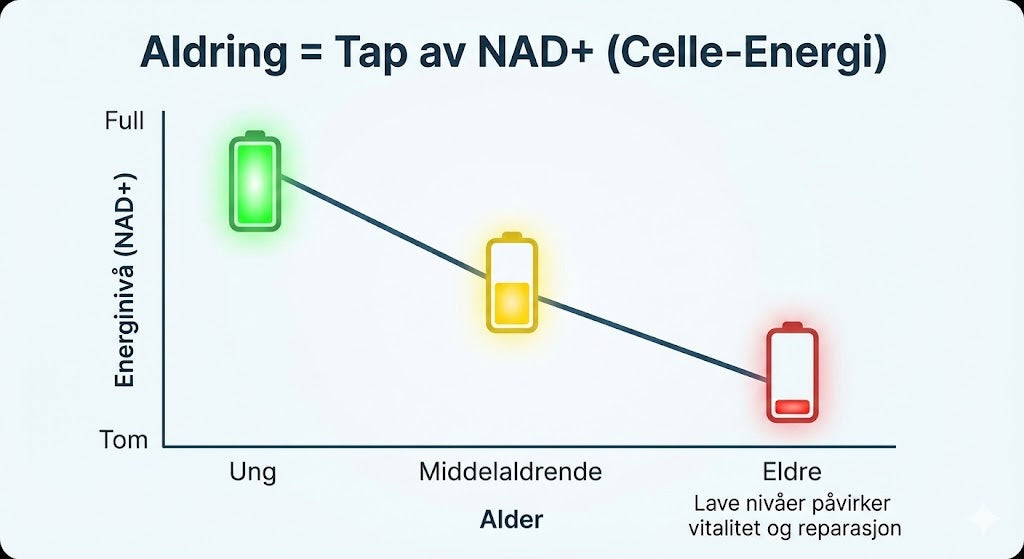NAD+ Longevity & Anti-Aging Total