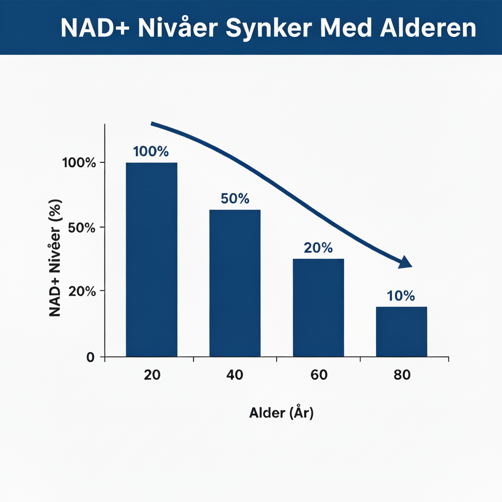 NAD+ Nivåer Synker Med Alderen