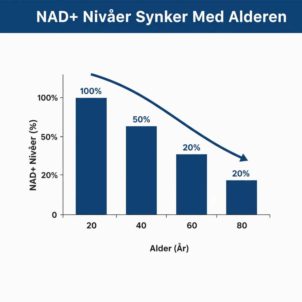 NAD+ Nivåer Synker Med Alderen
